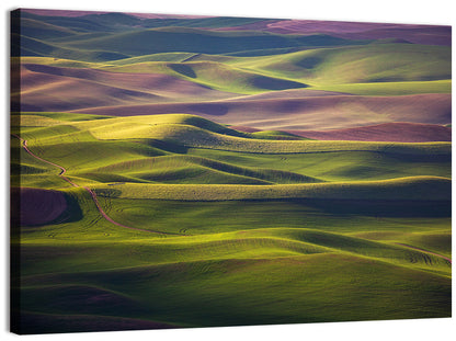 Palouse Farmland at Golden Hour Wall Art