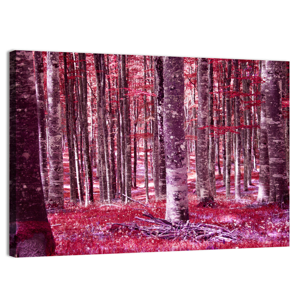 Crimson Woodland Wall Art, canvas print, landscape