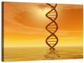 Dna Helix at Sunset Wall Art