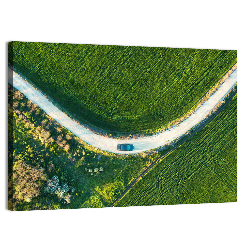 Aerial Farm Fields at Golden Hour Wall Art