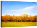 Autumn Forest Meadow Wall Art