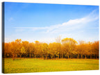 Autumn Forest Meadow Wall Art