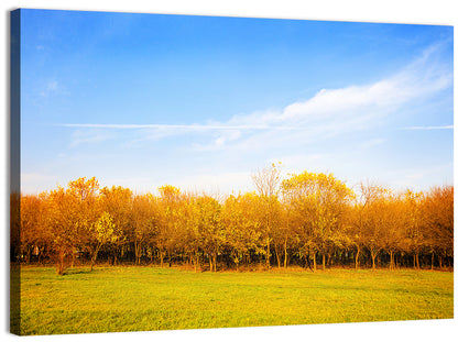 Autumn Forest Meadow Wall Art