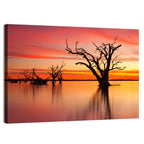 Lake Bonney Sunset Reflections Wall Art