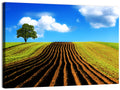 Plowed Field with Lone Tree Wall Art