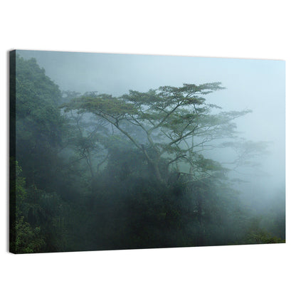 Misty Rainforest Canopy Wall Art