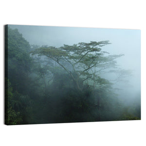 Foggy Rainforest Trees Wall Art