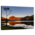 Buttermere Lone Tree Reflection Wall Art