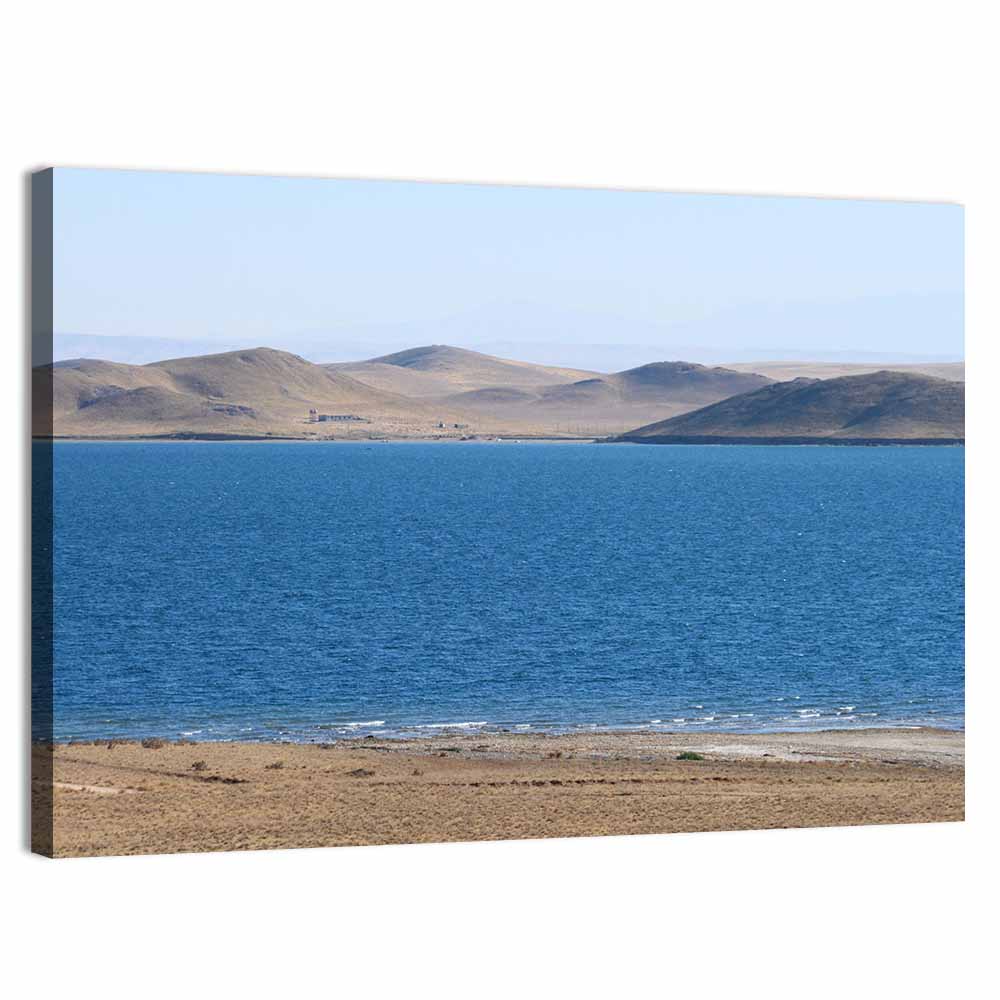 Aydarkul Lake Shoreline, Uzbekistan Wall Art