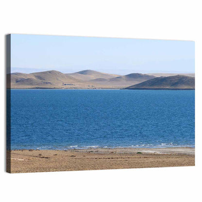 Aydarkul Lake Shoreline, Uzbekistan Wall Art