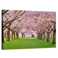 Cherry Blossom Avenue Wall Art
