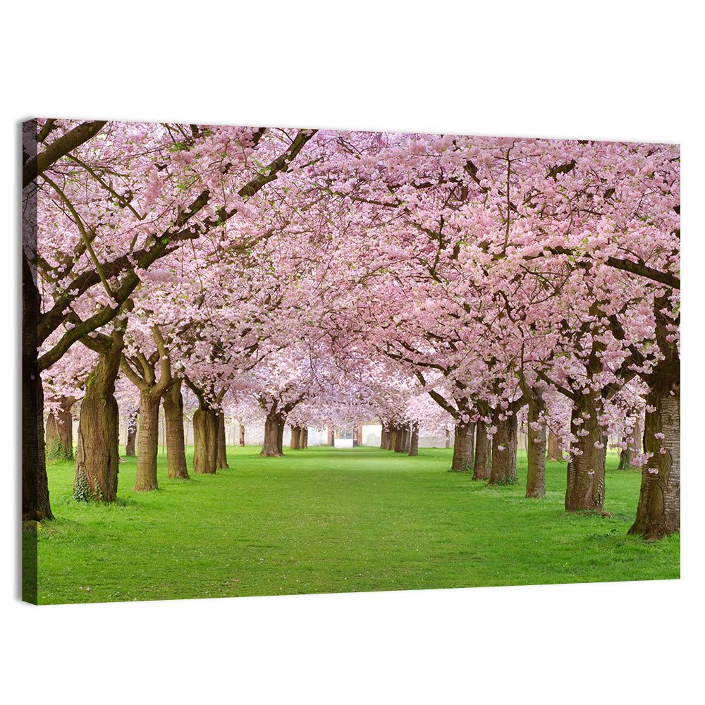 Cherry Blossom Avenue Wall Art, canvas print, landscape