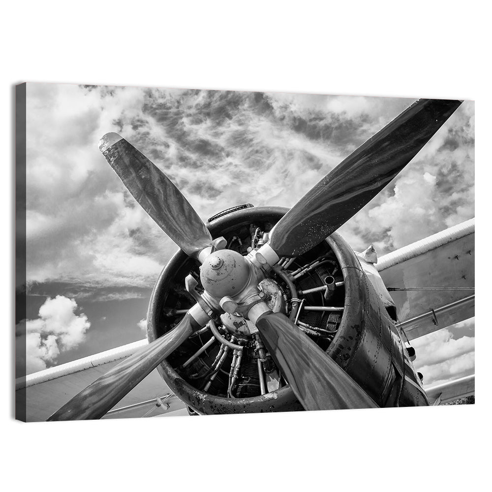 Vintage Airplane Radial Engine Close-up Wall Art