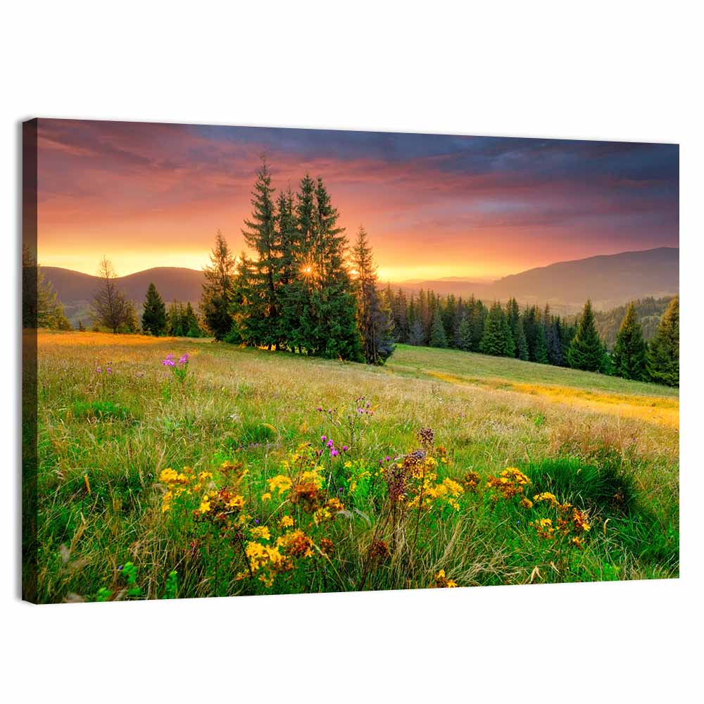 Sunset Meadow with Wildflowers Wall Art