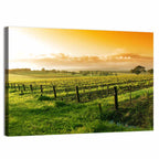 Barossa Valley Vineyard at Sunrise Wall Art