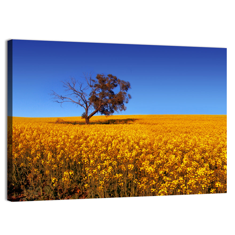 Canola Field with Lone Tree Wall Art