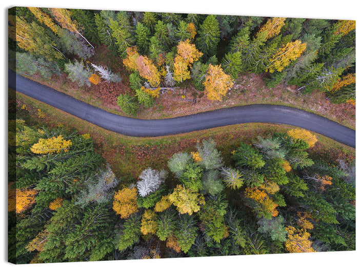 Aerial Autumn Forest Road Wall Art as a canvas print