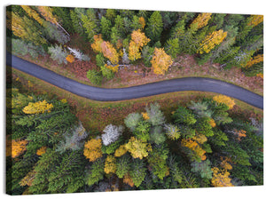 Summer Forest Road Wall Art