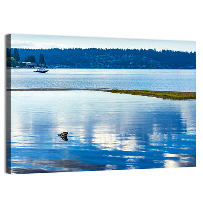 Lake Sammamish Reflection Wall Art