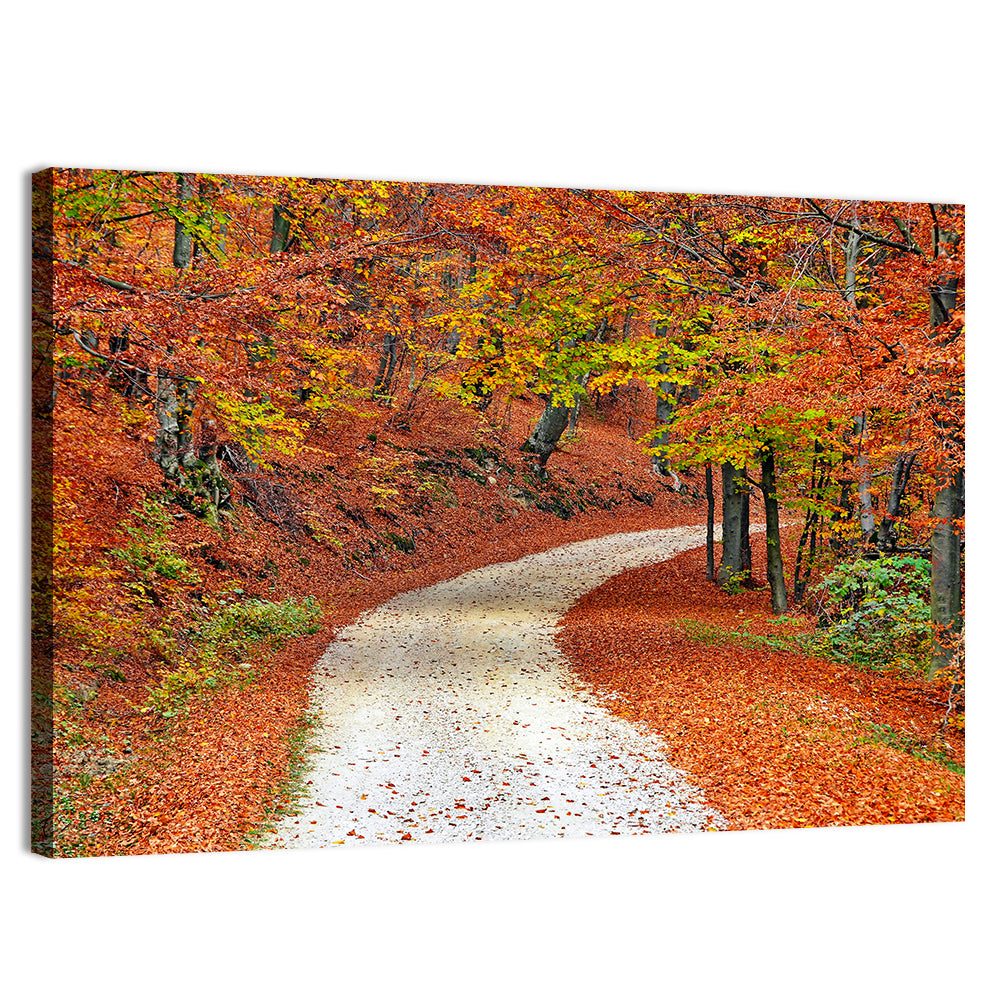Misty Gravel Path Through Autumn Trees Wall Art, canvas print, landscape