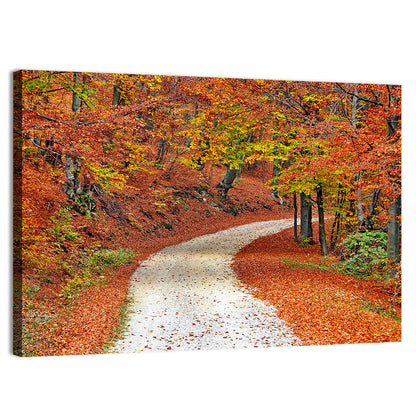 Misty Gravel Path Through Autumn Trees Wall Art
