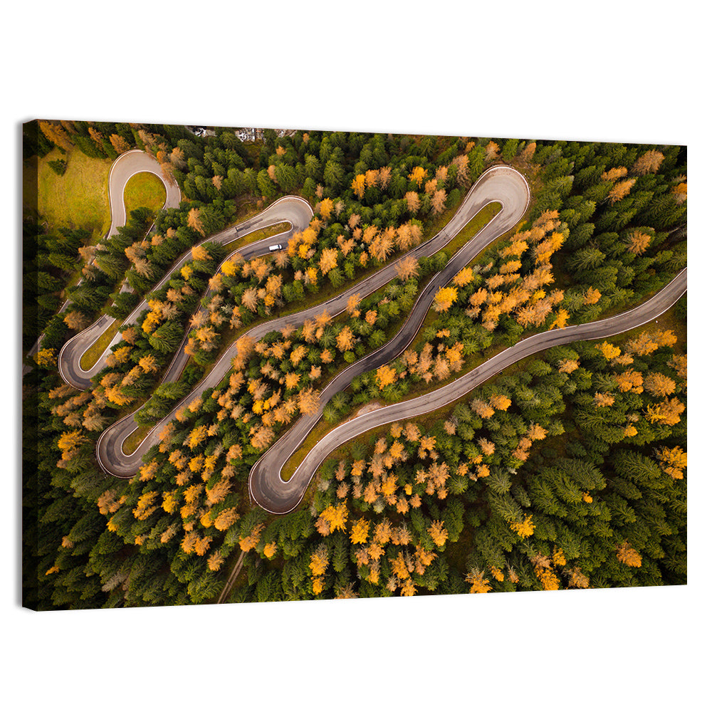 Aerial Curvy Forest Road Wall Art