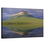 Mount Tanalian from Lake Clark Wall Art