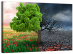 Split Climate Landscape Wall Art