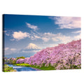 Mount Fuji Cherry Blossoms Wall Art