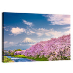 Mount Fuji Cherry Blossoms Wall Art