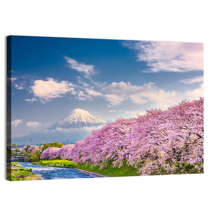 Mount Fuji Cherry Blossoms Wall Art as a canvas print