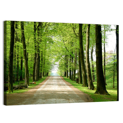 Sunlit Tree-lined Path Wall Art