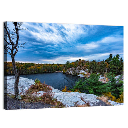 Lake Minnewaska Vista Wall Art