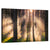 Misty Forest Sunrise Wall Art