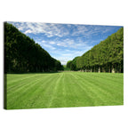 Tree-lined Manicured Lawn Wall Art