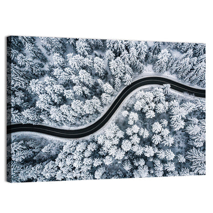 S-curve Winter Forest Road Wall Art