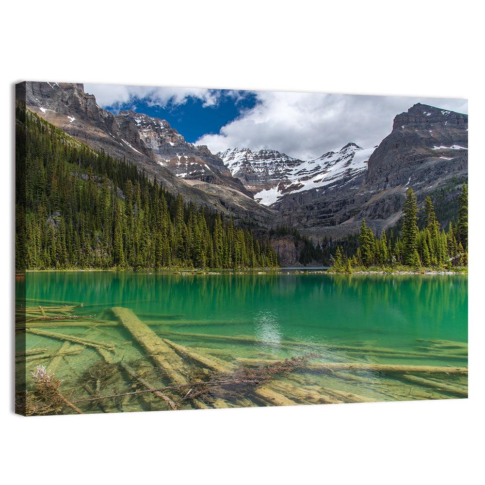 Lake O'hara Reflection Wall Art, canvas print, landscape