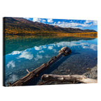 Autumn Driftwood at Eklutna Lake Wall Art