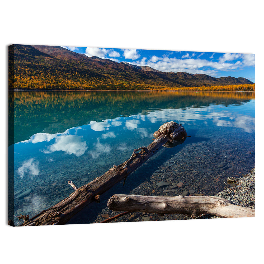 Autumn Driftwood at Eklutna Lake Wall Art