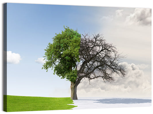 Summer to Winter Split Tree Wall Art