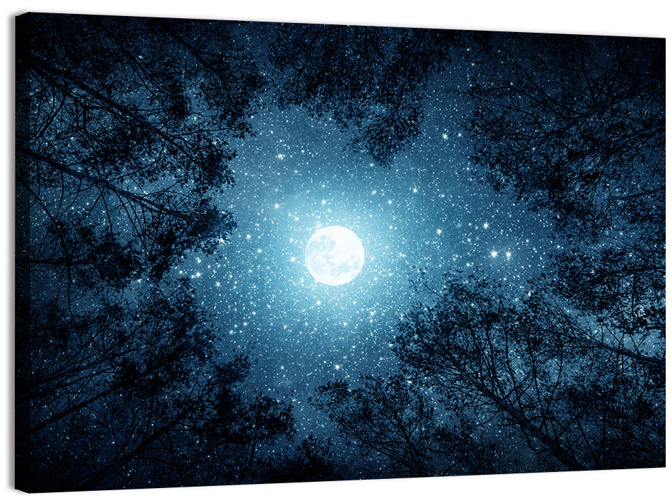 Full Moon Over Forest Wall Art