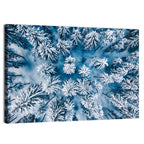 Aerial Snowy Evergreen Canopy Wall Art