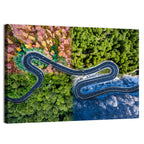 Four Seasons Winding Road Wall Art