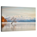 That Wanaka Tree, Lake Wanaka Wall Art