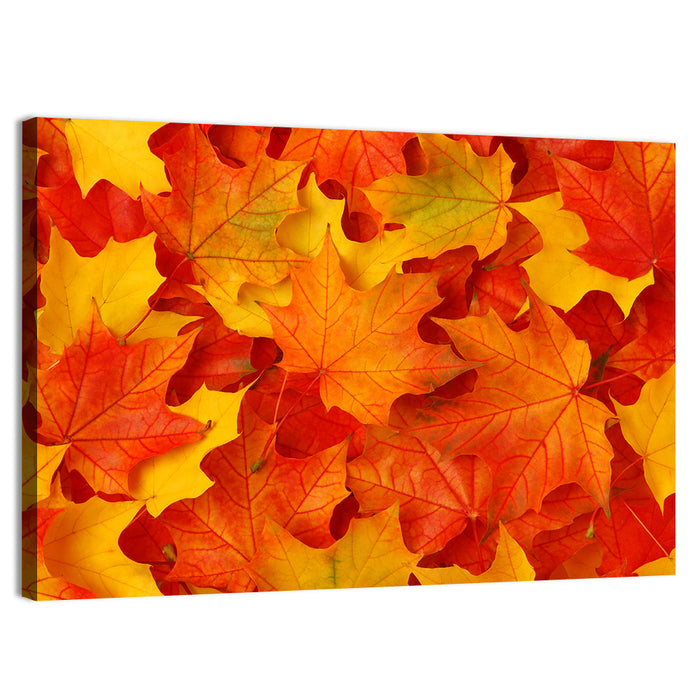 Autumn Maple Leaves Wall Art as a canvas print