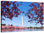 Washington Monument with Cherry Blossoms Wall Art