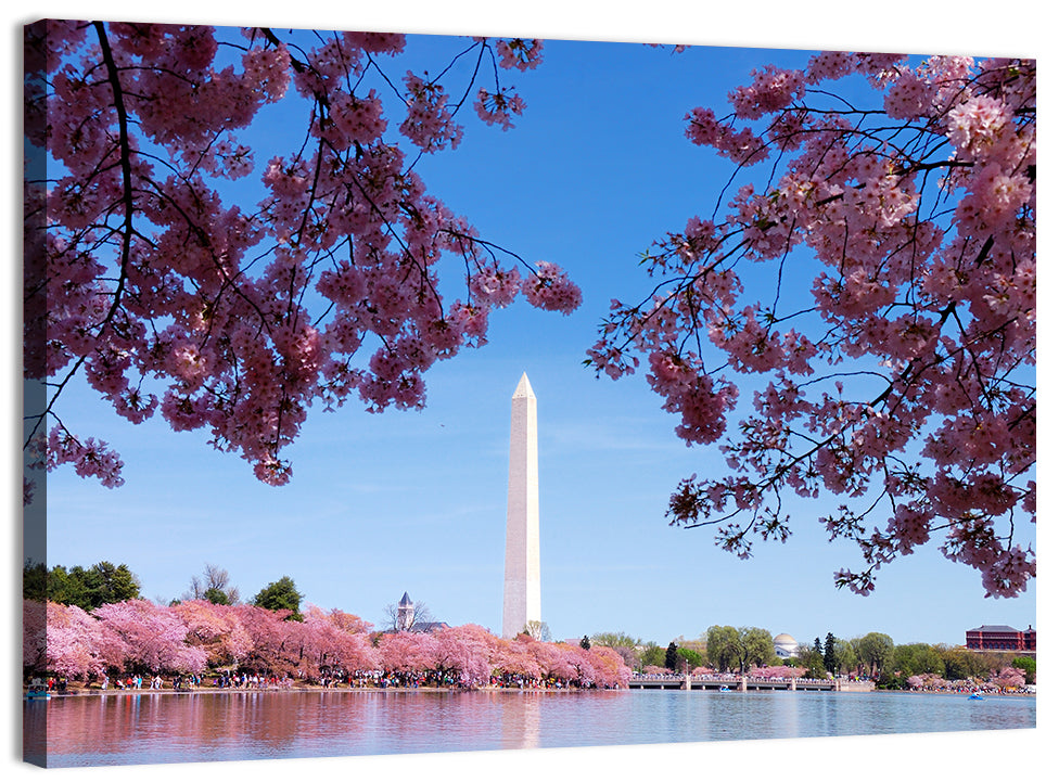 Washington Monument with Cherry Blossoms Wall Art
