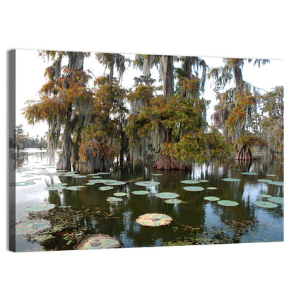 Lake Martin Cypress Swamp Wall Art