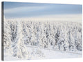 Snowy Forest Railway Tracks Wall Art