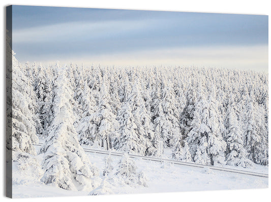 Snowy Forest Railway Tracks Wall Art